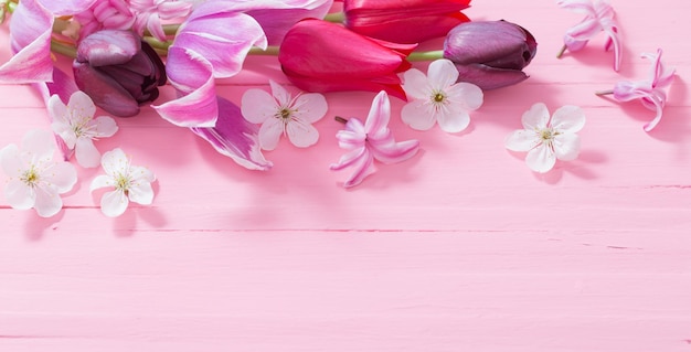 Frühlingsblumen auf rosa Holzhintergrund