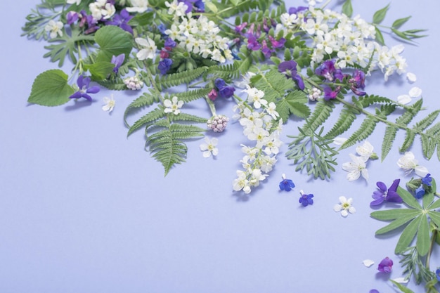 Frühlingsblumen auf violettem Papierhintergrund