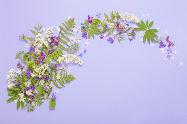 Frühlingsblumen auf violetter Papieroberfläche