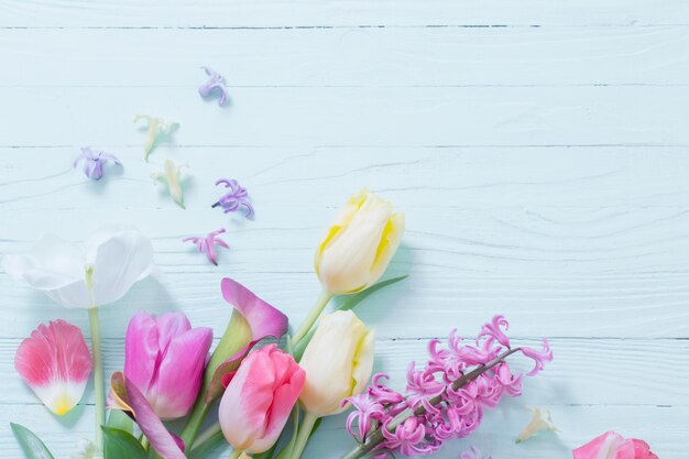 Frühlingsblumen auf weißem hölzernem Hintergrund