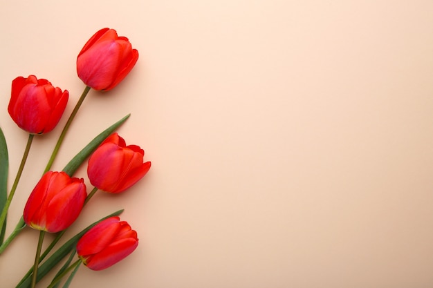 Frühlingsblumen. Blumenstrauß von roten Tulpen auf Beige.