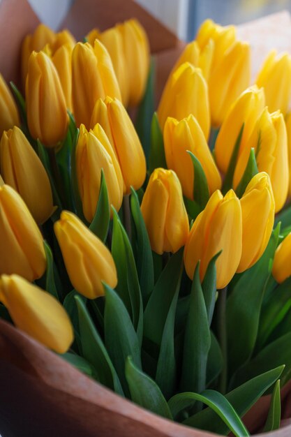 Frühlingsblumen gelbe Tulpen Frühlingstag der Frauen Zarter Blumenstrauß Tulpen