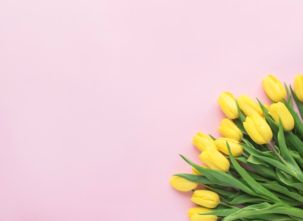 Frühlingsblumen. Gelber Tulpenblumenstrauß lokalisiert auf rosa Hintergrund. Flache Lage, Draufsicht. Minimales Blumenkonzept. Fügen Sie Ihren Text hinzu.