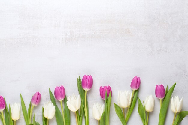 Frühlingsblumen, Grußkarte, pastellfarbene Tulpen auf dem grauen Hintergrund.