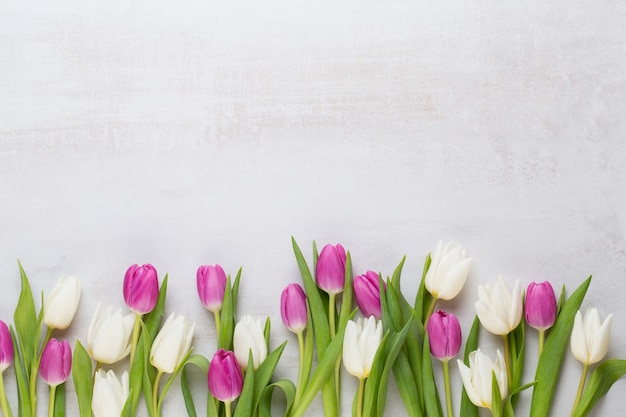 Frühlingsblumen, Grußkarte, pastellfarbene Tulpen auf dem grauen Hintergrund.