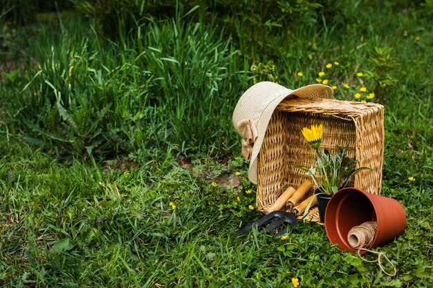 Frühlingsblumen im Weidenkorb mit Gartengeräten