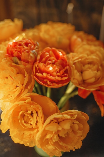 frühlingsblumen leuchtend orange in warmen farben hohe ausdehnung