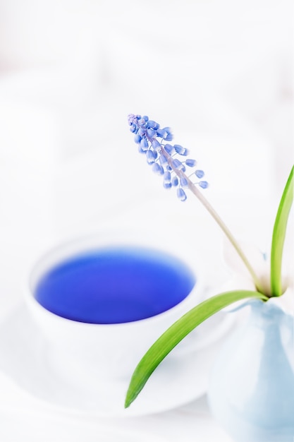 Frühlingsblumen-Muscari und blauer Kräutertee