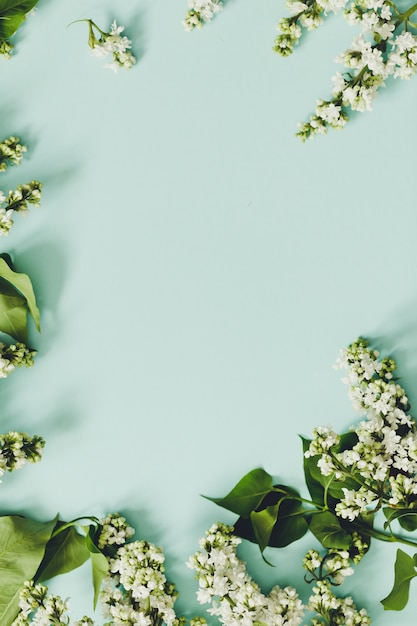Frühlingsblumen. Rahmen der Zweige des blühenden weißen Flieders auf einem blauen Hintergrund. Draufsicht. Platz für Text