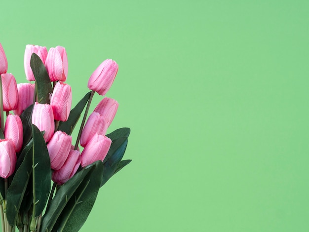 Frühlingsblumen. Rosa Tulpe auf grünem Hintergrund