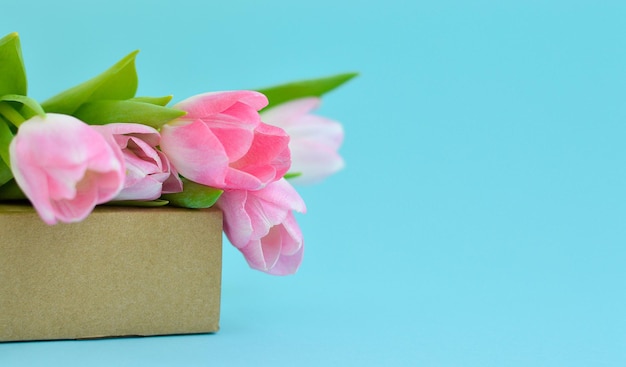 Frühlingsblumen Rosa Tulpen auf einer Schachtel GratulationDas Konzept der Frühlingsgeschenke und Feiertage