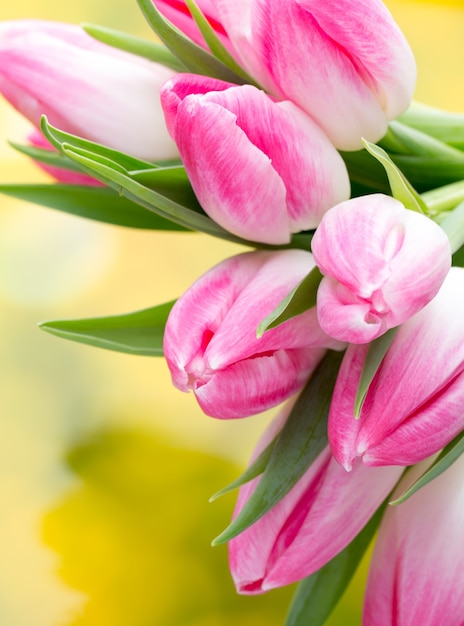 Frühlingsblumen. Tulpenstrauß auf dem Bokehhintergrund.