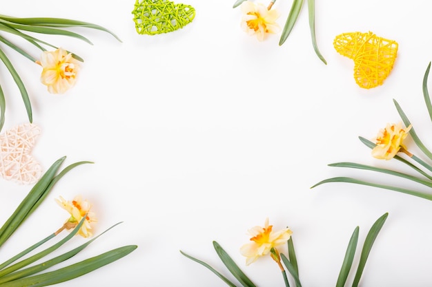 Frühlingsblumengrenze schöne frische Narzissenblumen lokalisiert auf weißem Hintergrund Selektiver Fokus