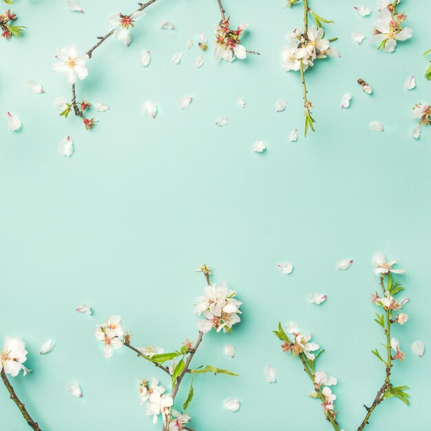 Frühlingsblumenhintergrund mit quadratischer Ernte der Mandelblütenblumen