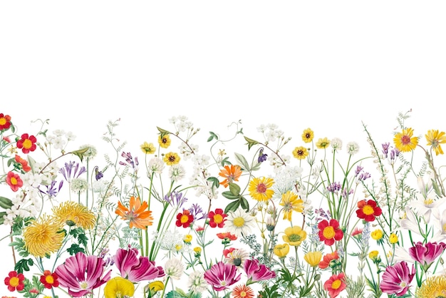 Frühlingsblumenrand png ästhetischer botanischer transparenter Hintergrund