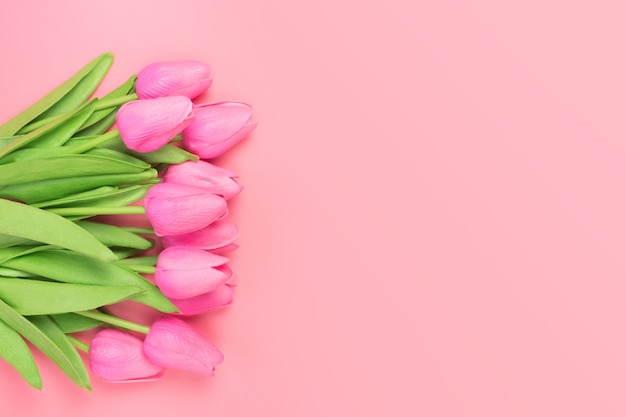 Foto frühlingsblumenstrauß der rosa tulpen auf dem rosa