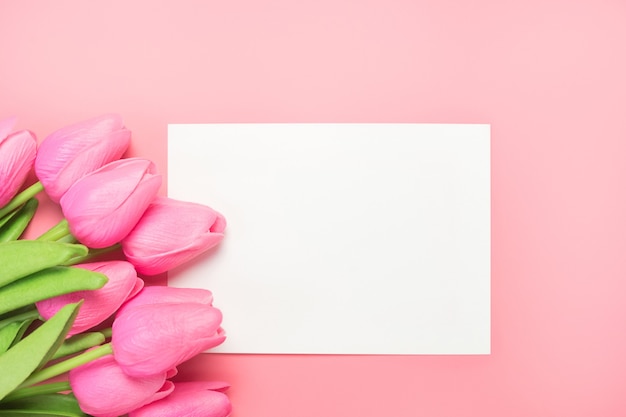 Frühlingsblumenstrauß der rosa Tulpen auf dem Rosa