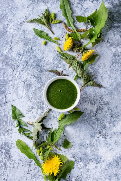 Frühlingsessel und Löwenzahn Smoothie