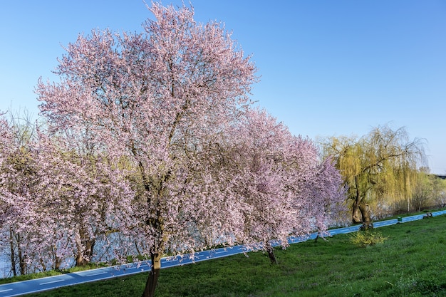 Frühlingsfarben