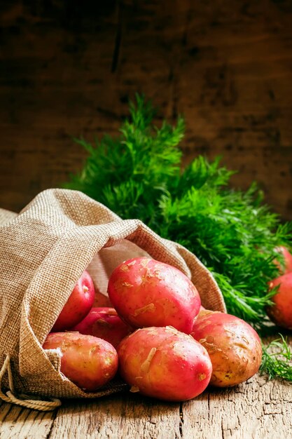 Frühlingsfrische Kartoffelernte in einem selektiven Fokus im rustikalen Stil einer Segeltuchtasche