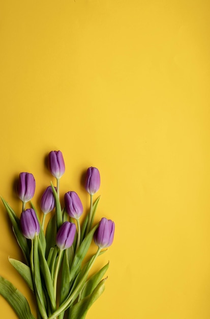 frühlingsfrische tulpen auf gelbem hintergrund für muttertag, valentinstag, osterferienpostkarte