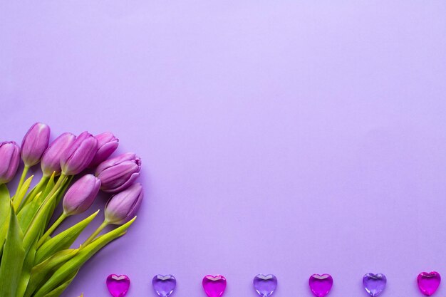 Frühlingsfrische Tulpen auf violettem Hintergrund für die Valentinstagsgrußkarte zum Muttertag