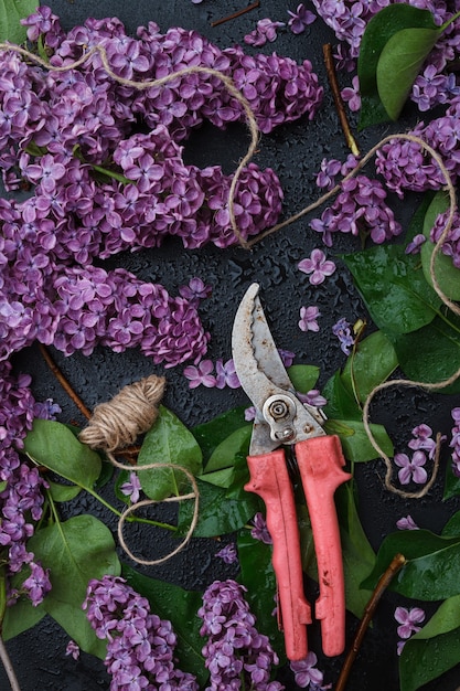 Foto frühlingsgarten-konzept-bündel lila flieder und handschneider auf schwarzem hintergrund