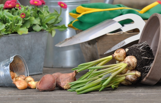 Frühlingsgartenarbeit