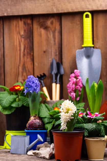 Frühlingsgartenkonzept mit blühenden Blumen