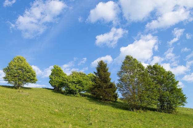 Frühlingsgebirgslandschaft, Berg Grappa, Italien. Italienische Alpen