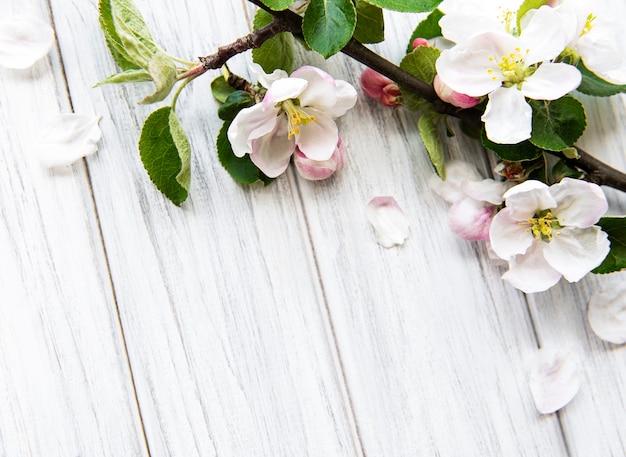 Frühlingsgrenzentabelle mit schönen weißen blühenden Zweigen. Weißer Holztisch, blühen zarte Blumen. Frühlingskonzept. Kopierraum für flach gelegte Draufsicht.