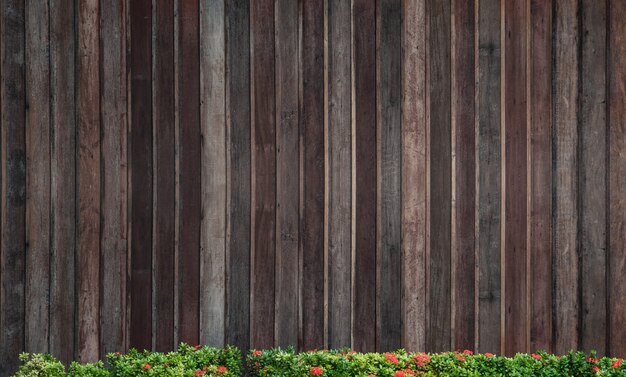 Frühlingsgrüne Blumenspitze über hölzernem Hintergrund, alte hölzerne Musterwand für Hintergrund