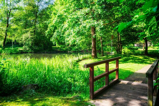 Frühlingsgrüner Park Stadtpark mit grünen Grasbrückenbäumen und Ententeich Frühlingslandschaft