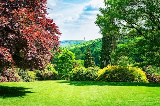 Frühlingsgrüner Park