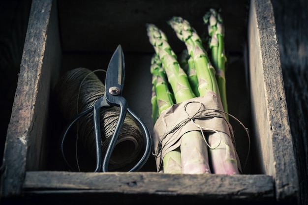 Frühlingsgrüner Spargel in einer Holzkiste