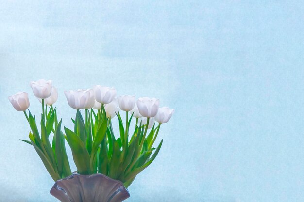 Frühlingsgrußkarte mit Blumen, weißen Tulpen auf himmelblauem Hintergrund. Das Konzept der frühlingshaften Zärtlichkeit, Weiblichkeit und Kopierraum