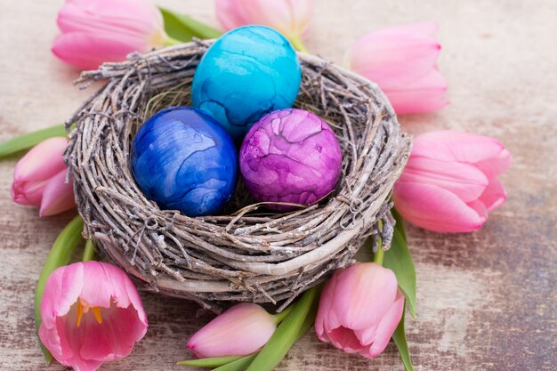 Frühlingsgrußkarte. Ostereier im Nest. Frühlingsblumen Tulpen.