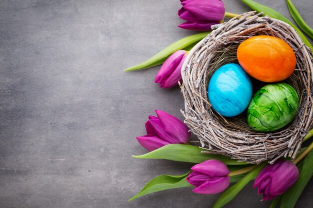 Frühlingsgrußkarte. Ostereier im Nest. Frühlingsblumen Tulpen.