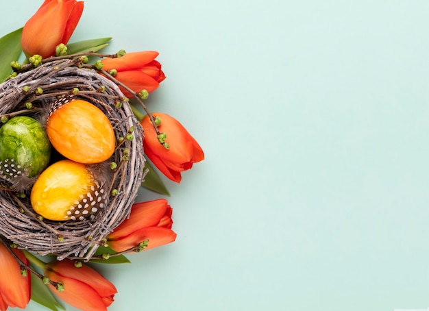 Frühlingsgrußkarte Ostereier im Nest Frühlingsblumen Tulpenx9xDxA