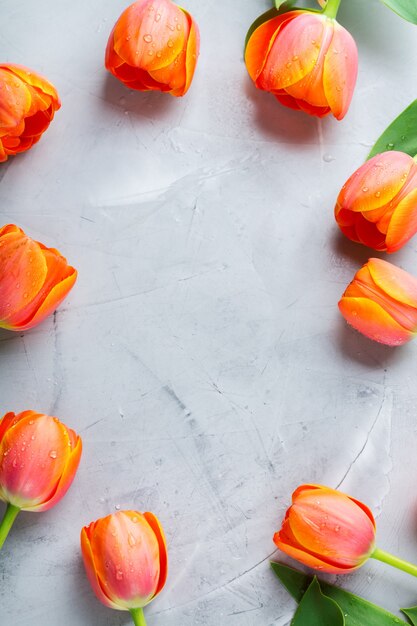 Frühlingshintergrund mit orange bunten Tulpen. frauen, muttertag, grußkarte, flach legen und raumbild kopieren