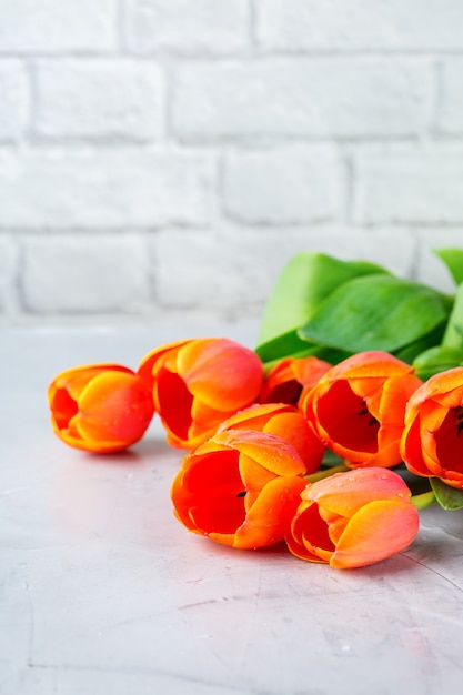 Frühlingshintergrund mit orange bunten Tulpen. Frauen, Muttertag, Grußkarte, Raumbild kopieren