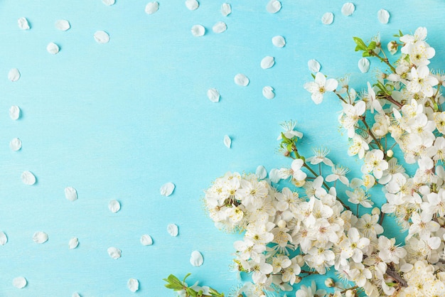 Frühlingshintergrund Weiße Kirschblütenblumen mit Blütenblättern auf pastellblauem Hintergrund Hochzeits- oder Feiertagshintergrund