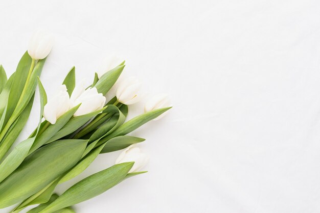 Frühlingskonzept. Weißer Tulpenstrauß auf weißem Stoffhintergrund für Modellentwurf mit Kopienraum