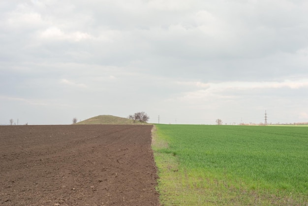 Frühlingslandschaft aus halb gepflügtem Feld und grünem Gras vor dem Hintergrund eines bewölkten Himmels