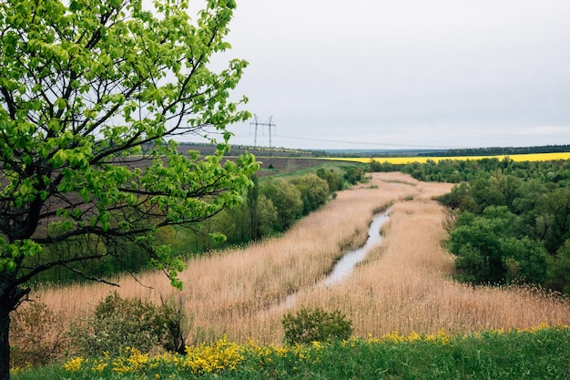 Frühlingslandschaft des Landes in der Ukraine