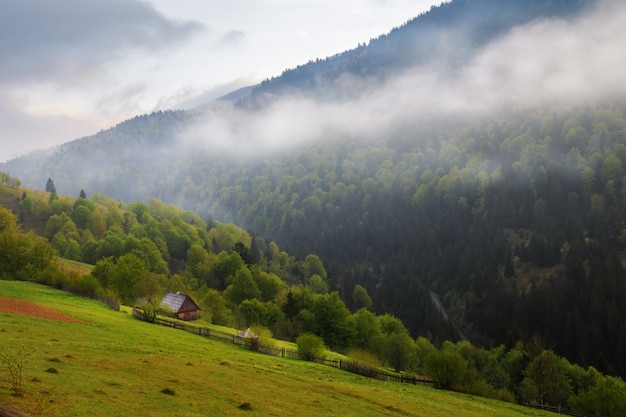 Frühlingslandschaft in den Karpaten