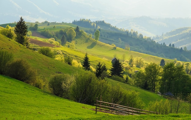 Frühlingslandschaft in den Karpaten