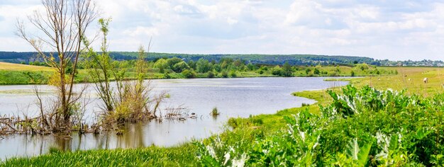 Frühlingslandschaft mit Fluss und Bäumen bei sonnigem Wetter