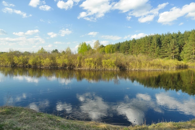 Frühlingslandschaft Waldfluss