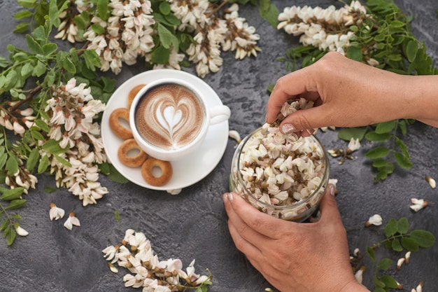 Frühlingslayout mit Kaffee auf Tisch und weißen Akazienblumen. Weibliche Hände gießen Akazienblüten in eine Tasse